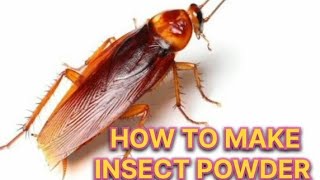 HOW TO MAKE INSECT POWDER [upl. by Aoht]