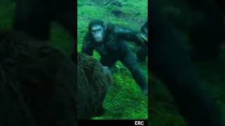 KOBA  Dawn of the Planet of the apes  WhatsApp Status video  4 [upl. by Linders703]