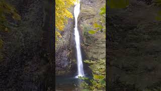 Horsetail FallsOregon oregon waterfall autumn fall hike pnw scenicdrive nature travel [upl. by Imelida]