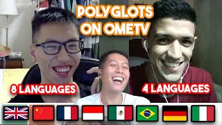 Indonesian Polyglot speak 8 languages with another Polyglots on OmeTv😂 [upl. by Lissy]