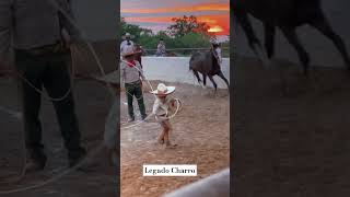 Charrería Charros Deportemexicano Vlogdecharreria caballos fyp foryouftp trend short yt [upl. by Catarina439]