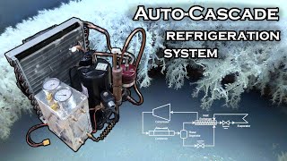 Homemade Autocascade Refrigeration System plus Anhydrous Ammonia [upl. by Frodina]