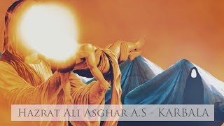 Spiritual Journey  EP9  Hazrat Ali Asghar AS  Karbala  Maulana Ali Raza Rizvi 2018 [upl. by Sidnee]