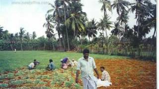 Chunnakam சுன்னாகம் jaffna [upl. by Trygve]