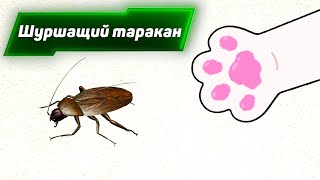 Шуршащий таракан Видео игра для кошек [upl. by Buff]