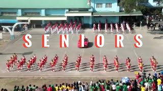 Grade 10 SENIORS Cheerdance 2019 CHAMPION Canossa Academy Lipa [upl. by Arahsat309]