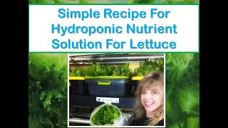 Simple Recipe For Hydroponic Nutrient Solution For Lettuce [upl. by Krutz]