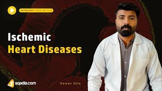 Ischemic Heart Diseases  Pathology Lectures  Medical Education Courses  VLearning [upl. by Phemia]