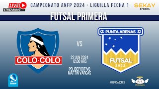 🔴🎥⚽🏆 LIGUILLA ANFP FUTSAL PRIMERA 2024  ColoColo vs Punta Arenas [upl. by Akinohs]