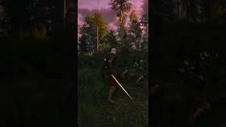 Witcher 3 Geralts clean with it witcher witcher3 shorts gaming gameplay games [upl. by Nnil]