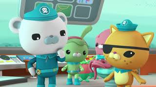 Octonauts and the Whale Shark Full Episode [upl. by Adniroc]