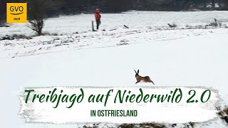 Treibjagd auf Niederwild in Ostfriesland 20  ein herrlicher Jagdtag mit guter Strecke [upl. by Wiencke]