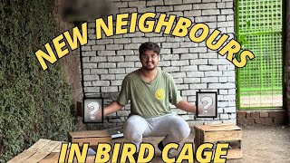 Birds cage ma new entry 🤯 Episode  29 [upl. by Nimesay322]