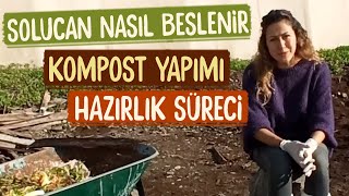 SOLUCAN NASIL BESLENİR  KOMPOST YAPIMI  HAZIRLIK SÜRECİ [upl. by Ahsytal]