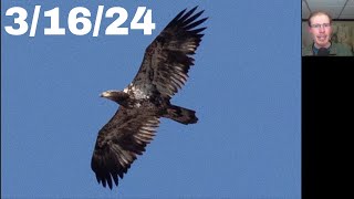 16 Golden Eagle Black Vulture Roughlegged Hawk at the Braddock Bay Hawk Watch 31624 [upl. by Yriek965]