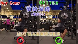 How to Improve Knee Stability For Squat 槓鈴深蹲 墊槓片 1技巧提升膝關節穩定性 腳根踩槓片 彌補腳踝活動度【RobertPig蘿蔔豬 2022 EP23】 [upl. by Ahsinat232]