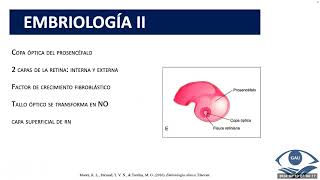 Anatomía y Fisiología de las Células Ganglionares de la Retina y Nervio Óptico 10 Febrero 2024 [upl. by Ireva]