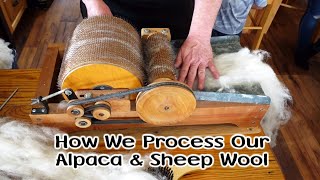 Processing Our Sheep amp Alpaca Wool into Yarn [upl. by Ettesel]