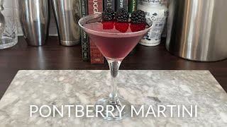 Making a Pontberry Martini at Home – StepbyStep Guide [upl. by Imaon]