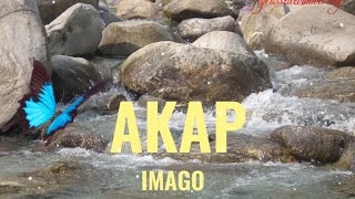 AKAP  IMAGO lyrics [upl. by Eralcyram518]