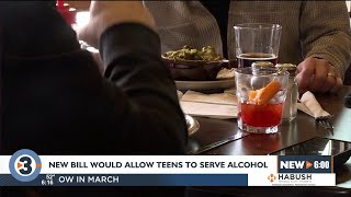 Wisconsinites react to proposal to allow minors to serve alcohol [upl. by Yrellam]