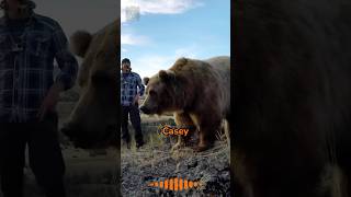 Casey amp Brutus Man Meets Grizzly wildlife [upl. by Yerd]