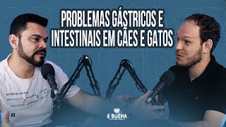 GASTROENTEROLOGIA VETERINÁRIA  PODCAST  É bucha Schneider [upl. by Anelat]