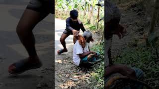 KING COBRA SNAKE PRANK ON GRANDPA Part 07  Shorts [upl. by Nylzaj]