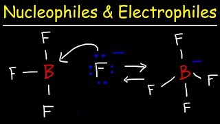 Nucleophiles and Electrophiles [upl. by Eileme]