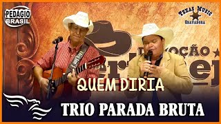 Quem Diria  TRIO PARADA BRUTA [upl. by Aurilia]