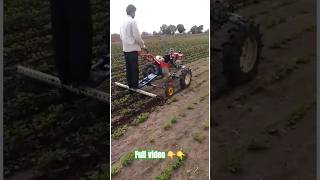 vst powertiller works in groundnut [upl. by Licko894]