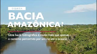 O que é a Bacia Amazônica [upl. by Ayerim976]