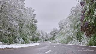 Late sneeuw Ardennen 4 mei 2019 [upl. by Assiroc]