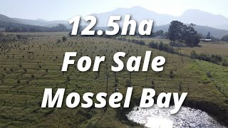 125 ha farm property for sale near Mossel Bay R 3 950 00000 Exc VAT [upl. by Durman]