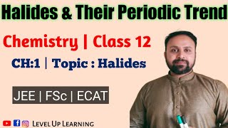 Halides  Types of Halides  Periodic Trend of Halides  polarizing Power amp Polarzibility  M waqas [upl. by Eadie909]