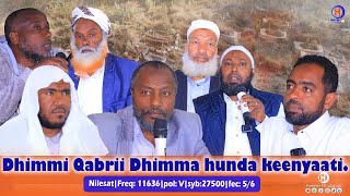 Dhimmi qabrii dhimma hunda keenyaati walgahii dhimma qabrii naannoo kuMag Furii kutaa 1ffaa [upl. by Kruger938]