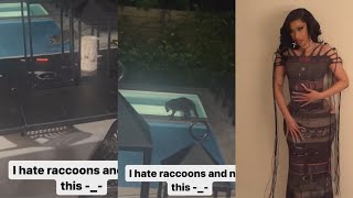 Cardi B Catches Raccoon Trying To Get In Her Pool😂😂😂😭😭😭 [upl. by Deehahs]