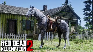 95 players missed this rare horse on the mission at early game  RDR2 [upl. by Hum]