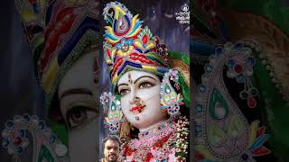 Maa bhakti div Vaishno Devi viralvideo maavaishnodevibhawan [upl. by Nial]