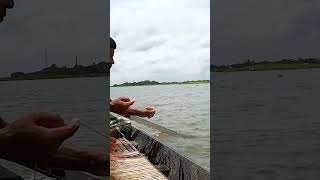 Asian Country Fishing shorts  Amazing Rural Fishing Video 🐟 Best Asian Fishing Technique shorts [upl. by Gabriellia]