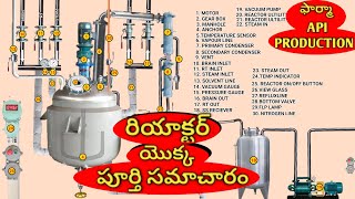 pharmaceutical reactor information  parts of the reactor and use  pharmaceutical api industry [upl. by Raina]