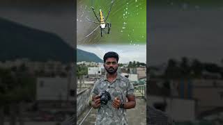 Autofocus and MF on lens  Telugu Photography Vlogs  view finder snap [upl. by Ambrogio586]