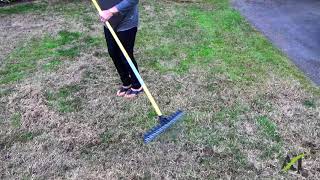 Teri Hand Thatching Her Lawn [upl. by Oakie]