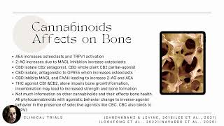 Cannabinoids and OA [upl. by Durr]