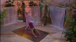 Yogaistde  Das Heldendreieck  DVD  Yogaflow Workout mit Inga Stendel [upl. by Bej835]