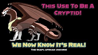 The Okapi It Was A Cryptid But Now Is An African Unicorn Reality [upl. by Alexa]