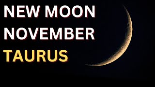 Taurus New Moon November Tarot Reading 🌑  Love Money amp Balance for Taurus ♉️ [upl. by Nagah]