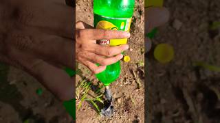 Idea of ​​drawing water from well shorts ideas idea jugaad survival skills jungle craft [upl. by Dlabihcra]