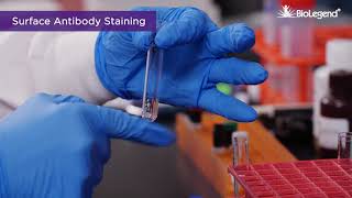 Surface and Intracellular Cytokine Staining for Flow Cytometry [upl. by Brittney]