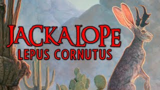 JACKALOPE Lepus Cornutus  Criptozoologia [upl. by Marsiella]